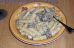 Italian Rigatoni With Sausage and Parmesan 1 Appetizer