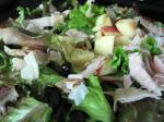 Turkish Turkey and Apple Salad over Watercress Dinner