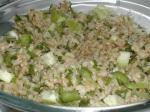 American Spicy Brown Rice Salad Appetizer