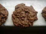 Israeli/Jewish Chocolate Oatmeal Cookies 22 Dessert