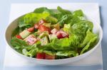 Italian Rocket Salad Recipe 2 Appetizer