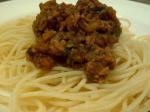 Italian Spaghetti Bolognese 52 Appetizer