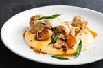 Canadian Chicken Meatballs With Mixed Mushroom Sauce and Polenta Recipe Appetizer