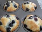 American Bisquick Blueberry Muffins Dessert