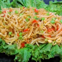 Chinese Bean Sprout and Carrot Salad Appetizer