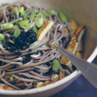 Indonesian Black Forest Noodles Dinner