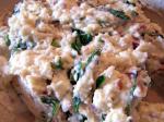American Arugula rocket and Blue Cheese Mashed Potatoes Appetizer