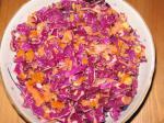 American Colorful Red Cabbage Salad Appetizer