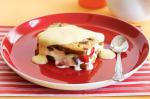 Canadian Christmas Cake Icecream Sandwich Recipe Dessert