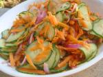 Chilean Cucumber and Carrot Salad Appetizer