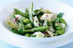 American Ricotta Asparagus and Broad Bean Salad Recipe Dinner
