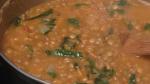 American Amazing Lentils and Kale Recipe Appetizer
