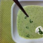 American Erins Cheesy Broccoli Soup Recipe Appetizer