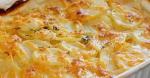 Swiss Cheesy Scalloped Potatoes 22 Appetizer