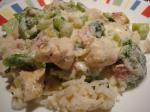 Parmesan Chicken and Broccoli 3 recipe