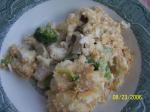 American Broccoli and Chicken Casserole 10 Dinner