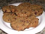 American Peanut Butter and Chocolate Chunk Oat Cookies no Flour Dessert