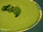 French Chilled canned or Fresh Pea and Mint Soup Appetizer