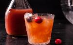 American Rum and Cranberry Shrub Cocktail Recipe Dessert