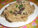 American Risotto With Dried Wild Mushrooms Appetizer
