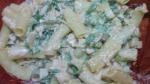 British Chicken Macaroni Salad Recipe Appetizer