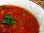 Turkish Lentil Veggie Soup 1 Appetizer