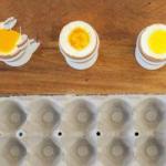 Ukrainian as Cook Eggs Breakfast