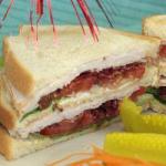 Turkish Club Sandwich 3 Appetizer