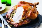 Turkish Roast Turkey With Pancetta Sage and Onion Stuffing Recipe Dinner