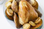 Turkish Stepbystep Roast Turkey Recipe 1 Dinner