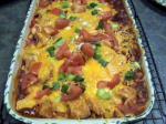 Turkish Easy Chicken Enchilada Casserole 1 Dinner