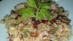 Turkish Harvest Turkey Cranberry and Brown Rice Salad Dinner