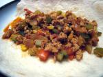 Turkish Harvest Garden Turkey Taco Filling Appetizer