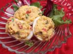 Australian Pimento  Prosciutto Eggs very Classy  Easy Appy Appetizer