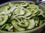 American Johns Cucumber Sweet Onion Salad With Lime Pepper Dressing Appetizer