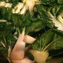 American Bok Choy to Garlic Appetizer