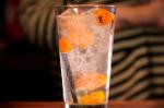 Kumquat and Clove Gin and Tonic Recipe recipe