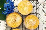 Australian Shaker Lemon Tarts Recipe Dessert