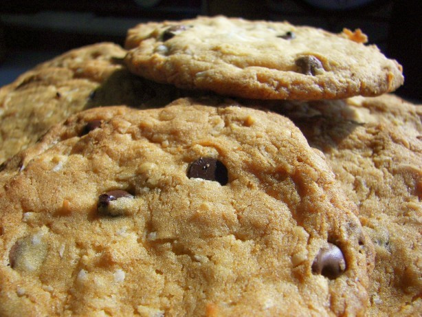 Australian Gourmet Dipped Cookies Dessert