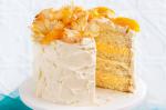 Australian Tropical Orange Layer Cake Recipe Dessert