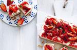 American Strawberry Frozen Cheesecake Recipe Dessert