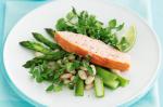 British Smoked Salmon Asparagus And Watercress Recipe Appetizer