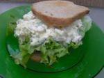 American Warm Egg Salad on Whole Wheat Toast Appetizer
