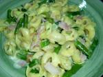 Australian Tortellini and Asparagus in Garlic Cream Sauce Appetizer