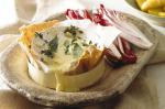 American Baked Garlic And Thyme Brie Recipe Appetizer