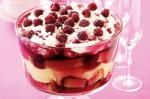 Raspberry Ripple Trifle Recipe recipe