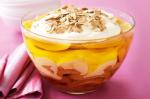 American Summer Fruit Trifle Recipe 1 Dessert