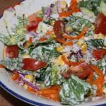 American Colorful Salad with Yoghurt Appetizer