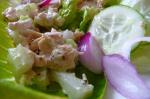 American Catherine Anns Enticing Tuna Salad  the Longmeadow Farm Appetizer