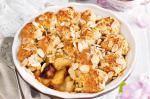 Australian Pear And Ginger Cobbler Recipe Dessert